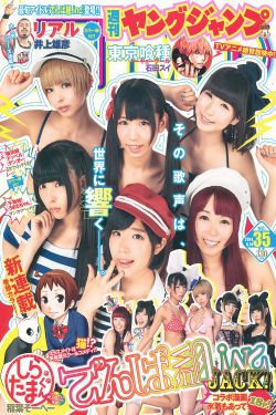 车晓主演的电视剧